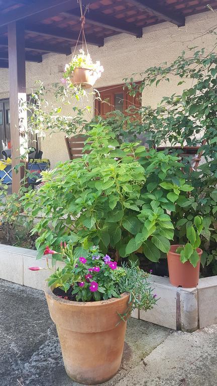 Apartment Ecio Banjole Kültér fotó